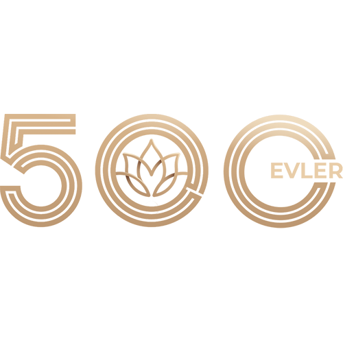 Öniz 500 Evler logo
